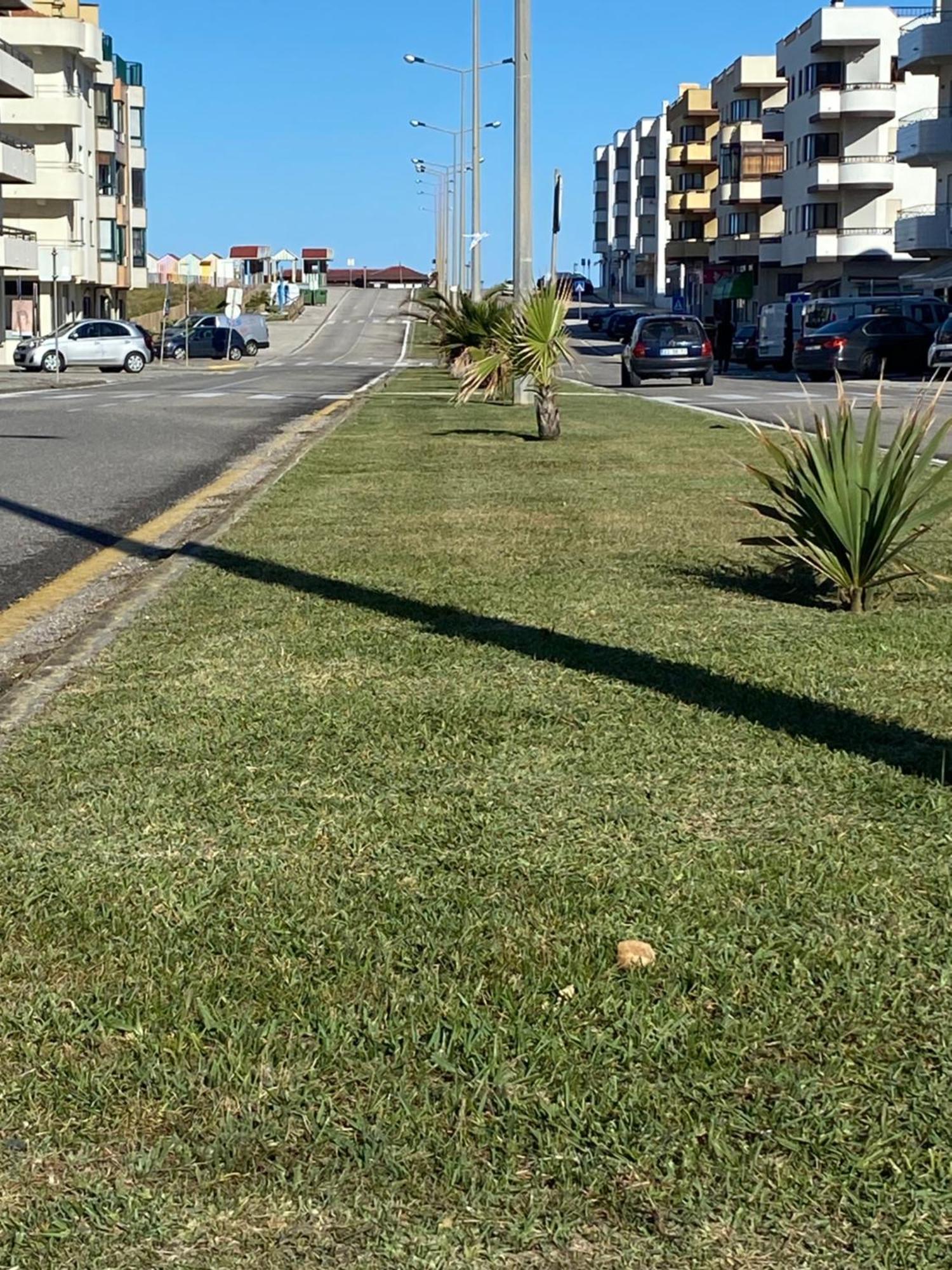 Apartamento Vista Mar Vieira de Leiria Exteriör bild